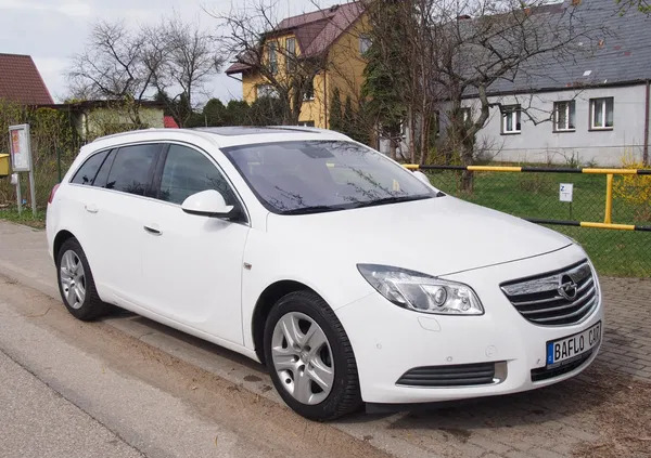 opel Opel Insignia cena 21500 przebieg: 305000, rok produkcji 2010 z Biała Podlaska